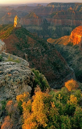 Picture of AZ, GRAND CANYON, SUNRISE AT POINT IMPERIAL