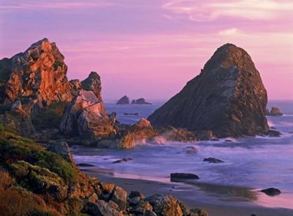 Picture of OR, HARRIS STATE BEACH SEA STACKS AT SUNSET