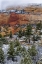 Picture of USA, UTAH, ZION NP WINTER SCENIC