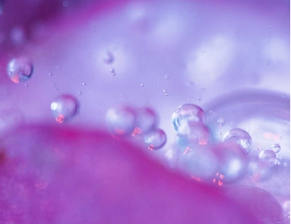 Picture of DEW DROPS ON FLOWER PETAL ABSTRACT