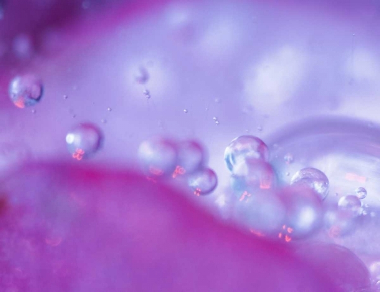 Picture of DEW DROPS ON FLOWER PETAL ABSTRACT