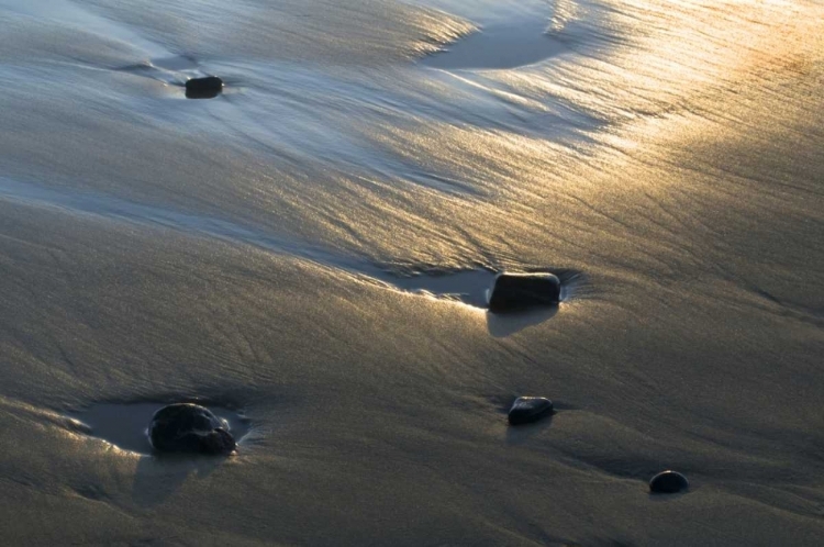 Picture of USA, OREGON BEACH SCENIC AT SUNSET