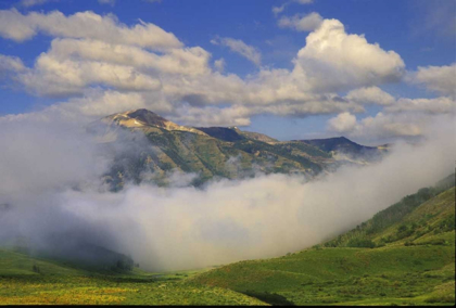 Picture of COLORADO, FOG AND MOUNTAIN LANDSCAPE