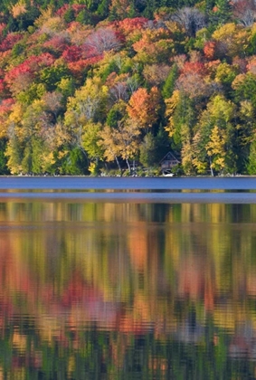 Picture of ME, ACADIA NP FALL FOLIAGE AND LAKE