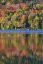 Picture of ME, ACADIA NP FALL FOLIAGE AND LAKE