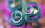 Picture of SOUTH NAMAQUALAND, CURLED LILY LEAVES