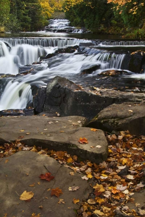 Picture of MICHIGAN BOND FALLS AND FALL FOLIAGE