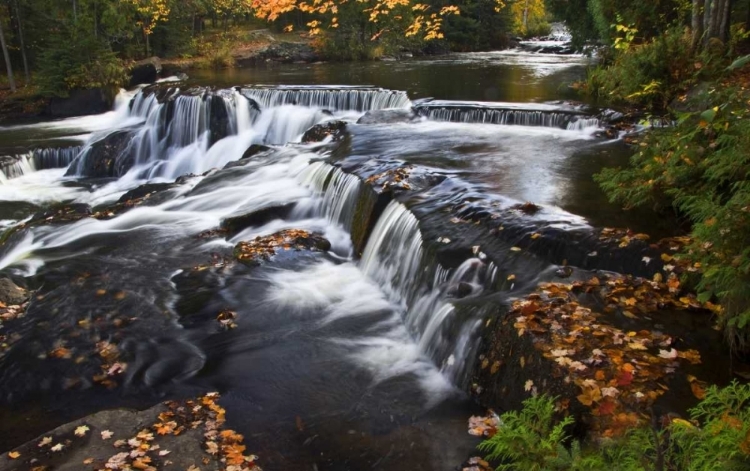 Picture of MICHIGAN BOND FALLS AND FALL FOLIAGE