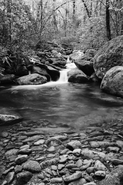 Picture of TN, GREAT SMOKY MTS CASCADING CREEK AND POOL