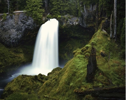 Picture of OR, CASCADES WATERFALL ON THE MCKENZIE RIVER