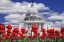 Picture of TULIPS BY THE CAPITOL BUILDING, WASHINGTON DC