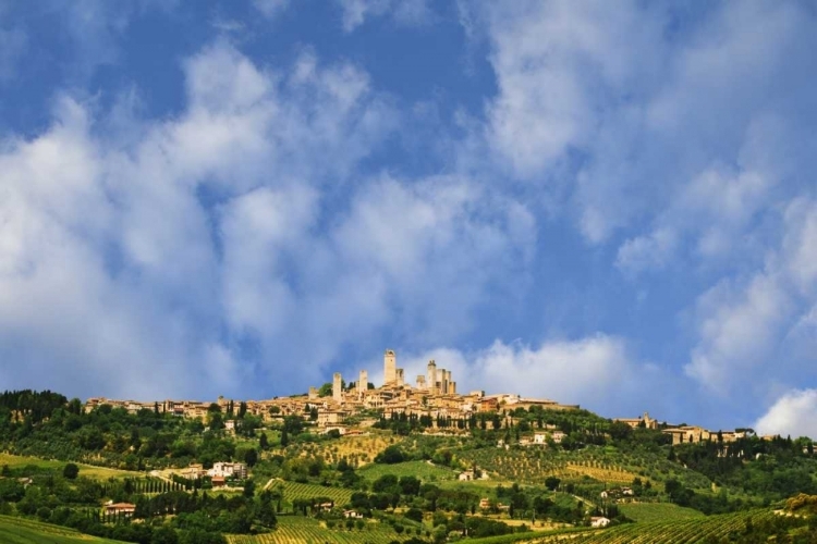 Picture of ITALY, TUSCANY VINEYARDS AROUND HILLTOP TOWN