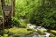 Picture of TN THE TUB MILL ALONG THE ROARING FORK CREEK