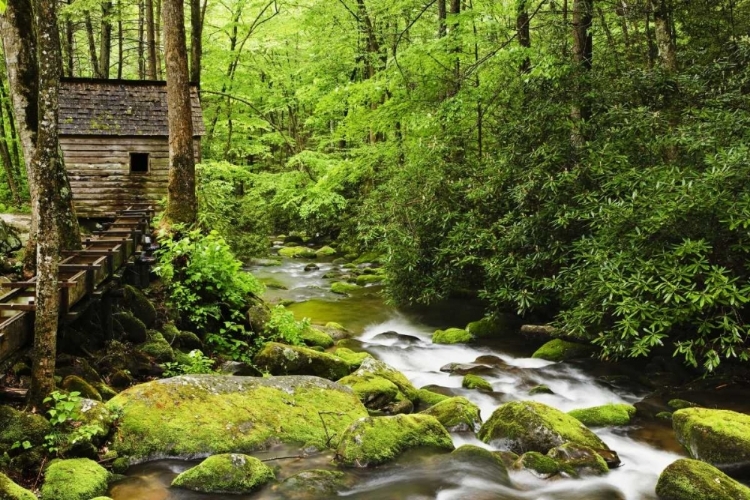 Picture of TN THE TUB MILL ALONG THE ROARING FORK CREEK