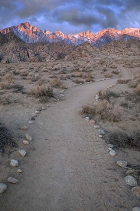 Picture of CA, SUNRISE ON LONE PINE PEAK AND MT WHITNEY