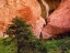 Picture of USA, UTAH, ZION NP VIEW OF DOUBLE-ARCH ALCOVE
