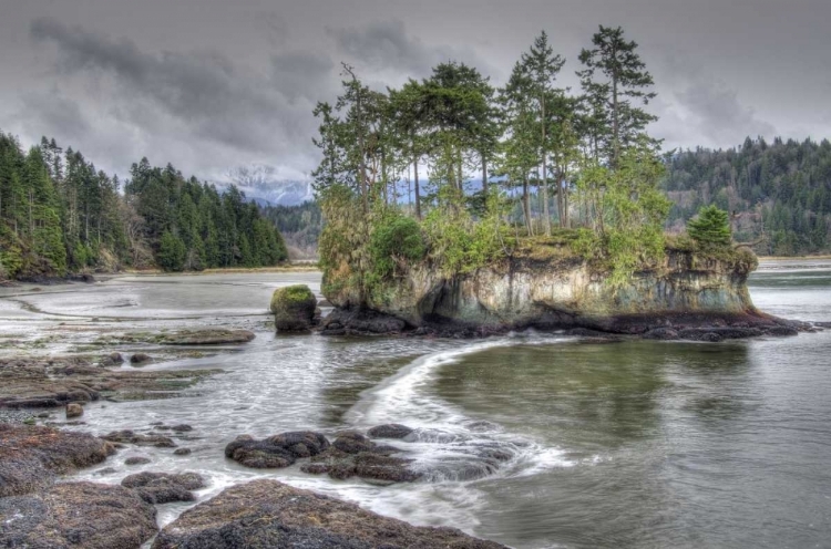 Picture of WA, SALT CREEK LANDSCAPE OF ISLAND IN RIVER