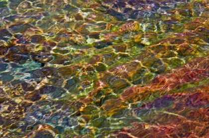 Picture of CANADA, ONTARIO SHIMMERING WATER OF GEORGIAN BAY