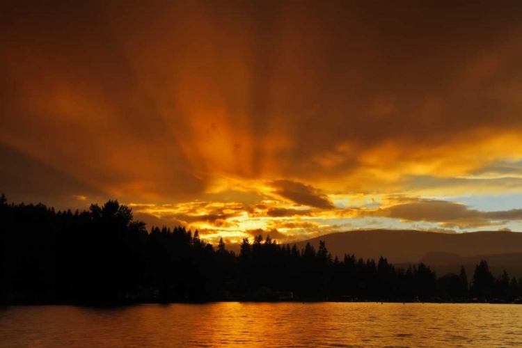 Picture of CANADA, BC, BLIND BAY GOD RAYS OVER SUSHWAP LAKE