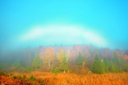 Picture of CANADA, WHITESHELL PP FOGBOW OVER FOREST, AUTUMN