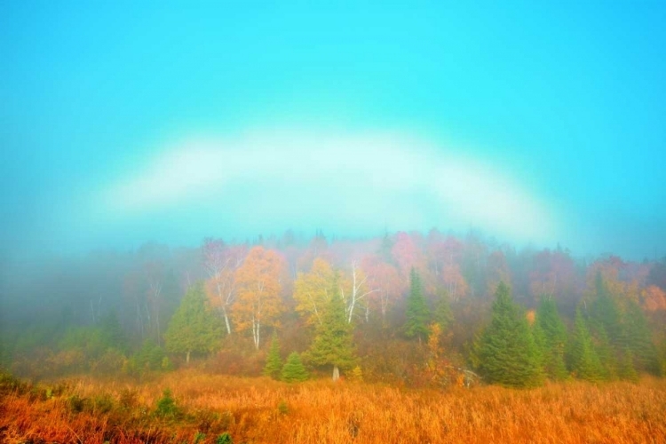 Picture of CANADA, WHITESHELL PP FOGBOW OVER FOREST, AUTUMN