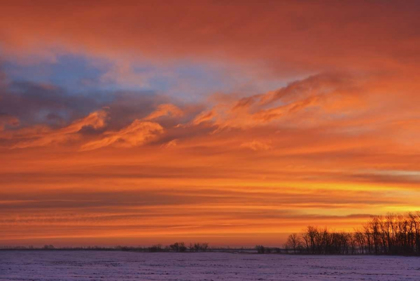 Picture of CANADA, DEACONS CORNER SUNRISE OVER THE PRAIRIE