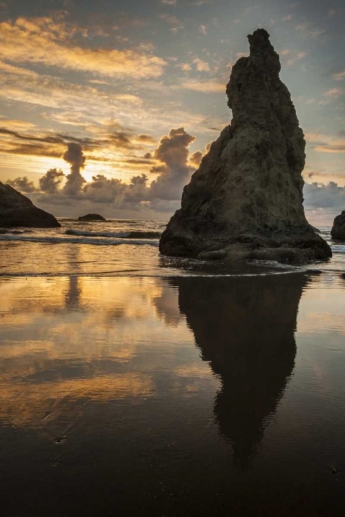 Picture of USA, OREGON, BANDON SHORE SCENIC