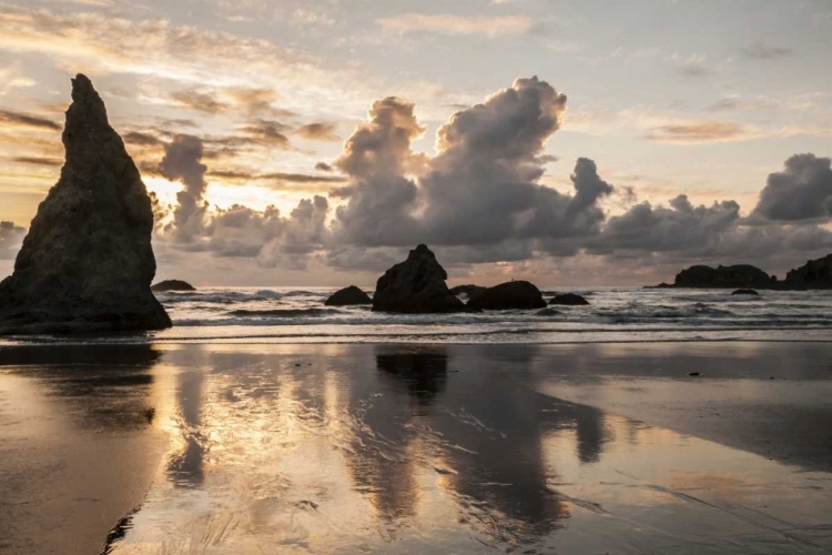 Picture of USA, OREGON, BANDON SHORE SCENIC