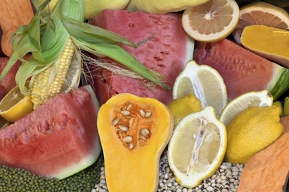 Picture of MEXICO, TECATE DISPLAY OF FRUIT AND GRAINS