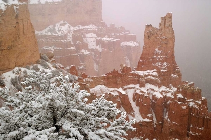 Picture of UTAH, BRYCE CANYON PARIA VALLEY FORMATIONS