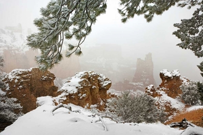 Picture of UTAH, BRYCE CANYON PARIA VALLEY FORMATIONS