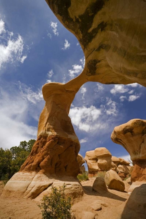 Picture of UT, ESCALANTE GRAND STAIRCASE NM, DEVILS GARDEN