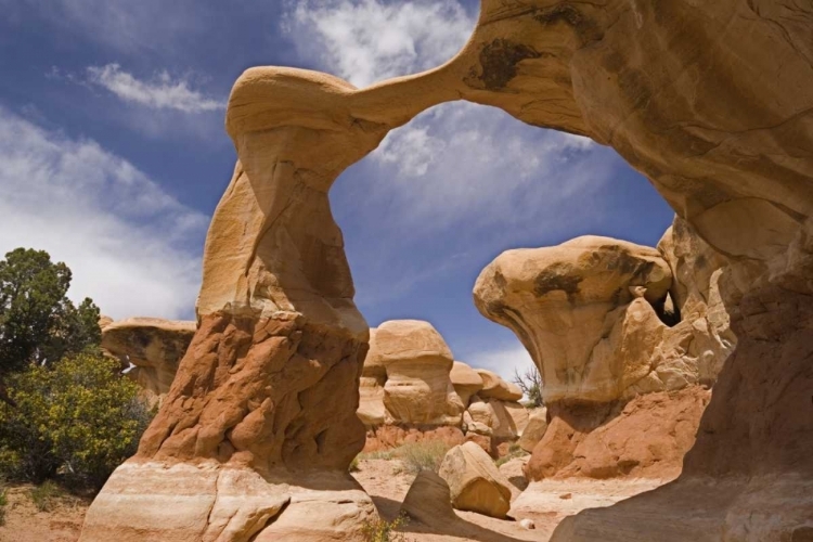 Picture of UT, ESCALANTE GRAND STAIRCASE NM, DEVILS GARDEN