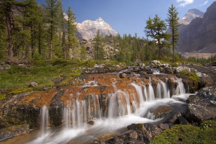 Picture of CANADA, BC, YOHO NP, OPABIN TERRACE WATERFALL