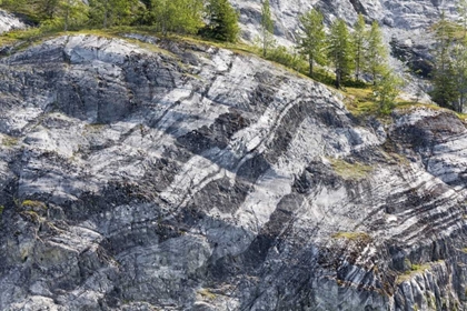 Picture of AK, GLACIER BAY NP STRIATED ROCK ON GLOOMY KNOB