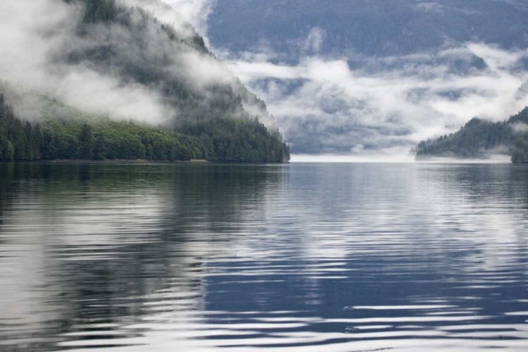 Picture of CANADA, BC, FOG-SHROUDED FOREST BY OCEAN INLET