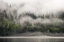 Picture of CANADA, BC, FOG-SHROUDED FOREST BY OCEAN INLET