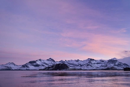 Picture of SOUTH GEORGIA ISLAND, LEITH HARBOR PINK SUNRISE