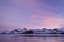 Picture of SOUTH GEORGIA ISLAND, LEITH HARBOR PINK SUNRISE