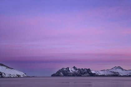 Picture of SOUTH GEORGIA ISLAND, LEITH HARBOR PINK SUNRISE