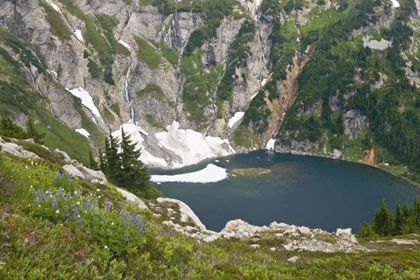 Picture of WASHINGTON , CASCADE PASS VIEW OF DOUBTFUL LAKE