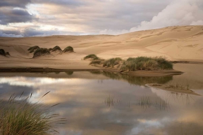 Picture of OR, SIUSLAW NF, UMPQUA DUNES LAKE NEXT TO DUNES