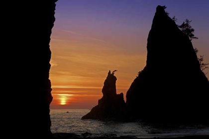 Picture of WA, OLYMPIC NP SUNSET OF RIALTO BEACH SEASTACKS