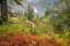 Picture of WA, MT BAKER WILDERNESS, FALL IN HEATHER MEADOWS