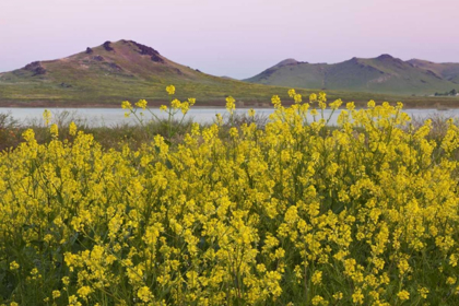 Picture of CA, PORTERVILLE SPRING SCENIC WITH LAKE SUCCESS