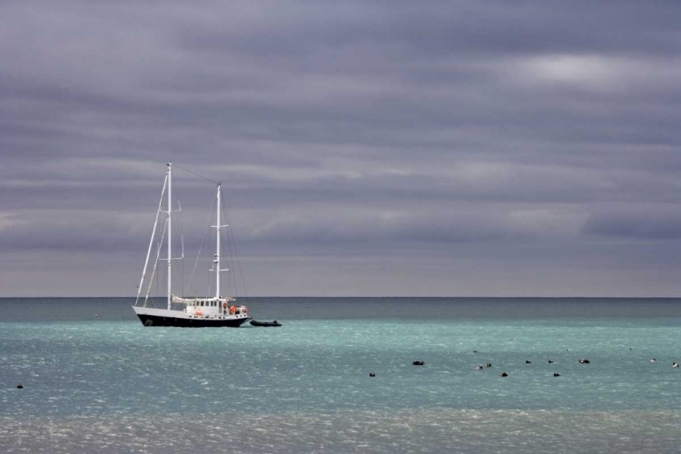 Picture of SOUTH GEORGIA ISL SAILING YACHT ANCHORED IN BAY