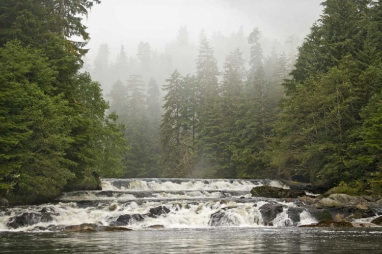 Picture of CANADA, BC CANOONA RIVER WATERFALLS BY FOREST