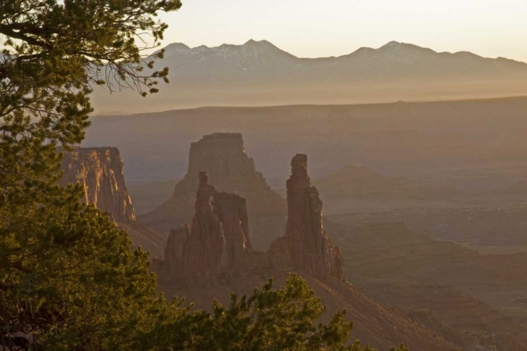 Picture of UT, ARCHES NP WASHERWOMAN ARCH AND LA SAL MTS