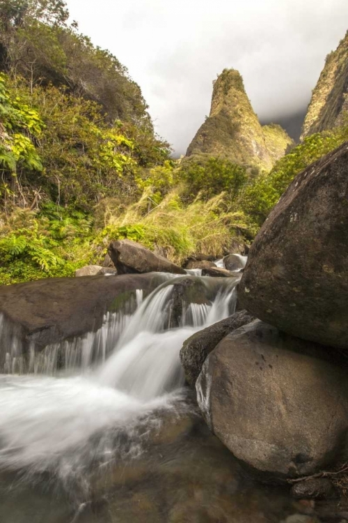 Picture of HI, MAUI, WEST MAUI MTS IAO NEEDLE AND STREAM