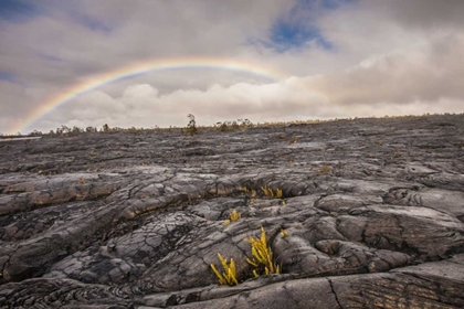 Picture of HI, BIG ISLAND RAINBOW OVER OLD HARDENED LAVA